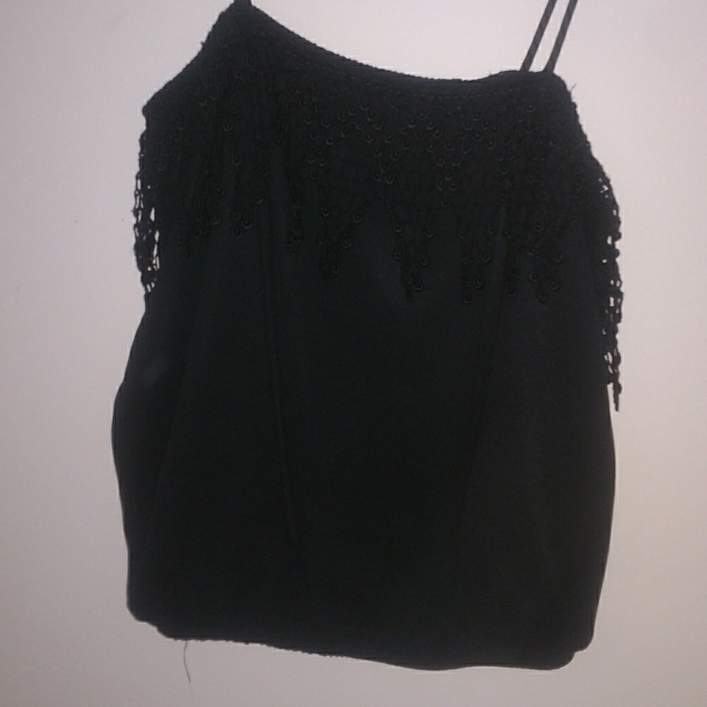 Lizard thicket black lace crop top large
